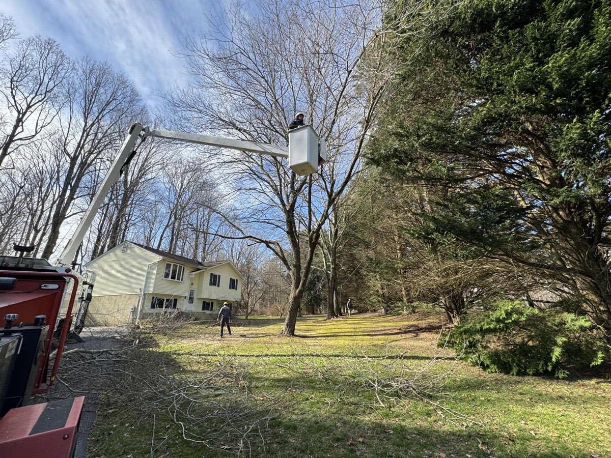 Bucket truck tree trimming service in Anne Arundel County