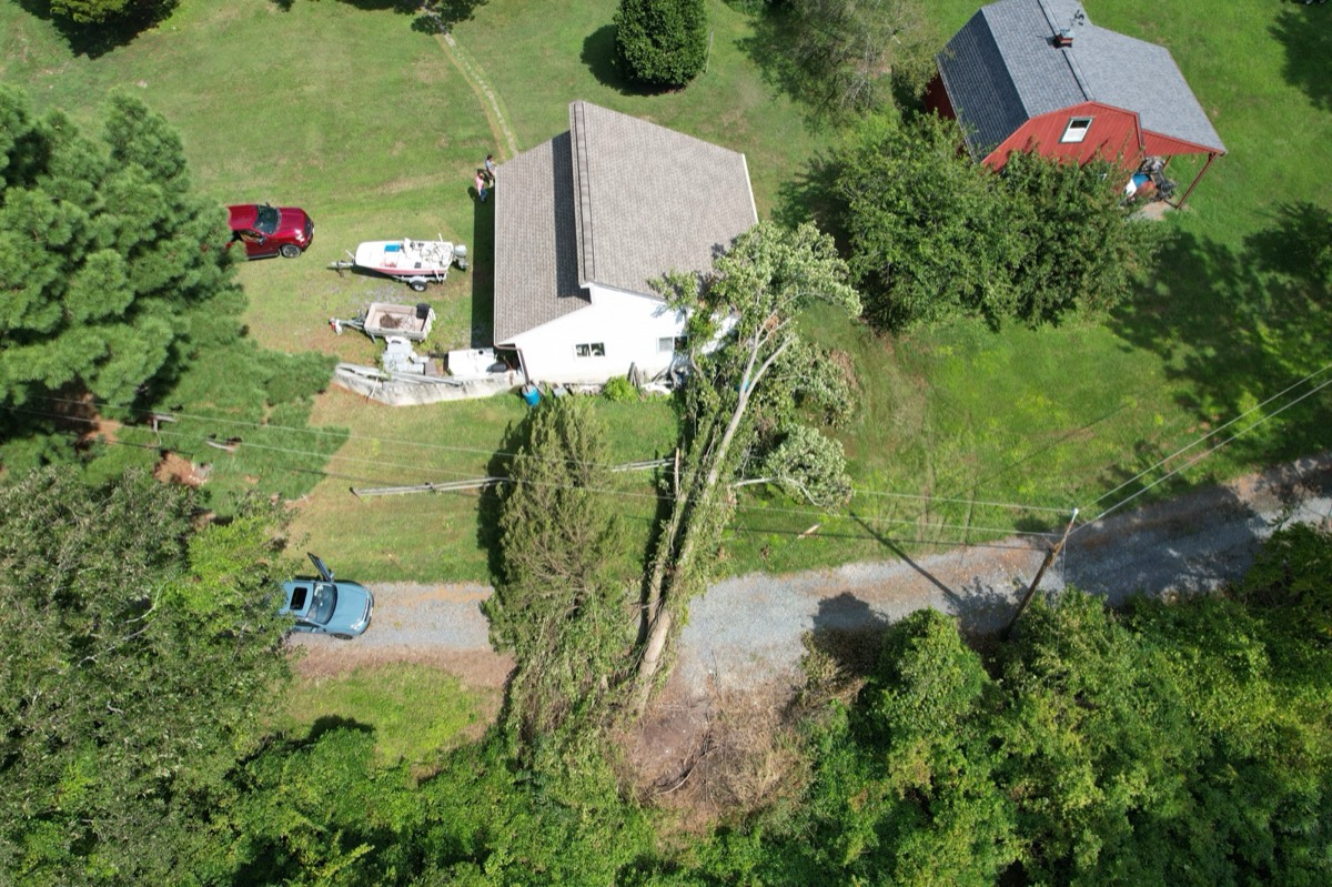 Drone view of storm-damaged trees in a neighborhood