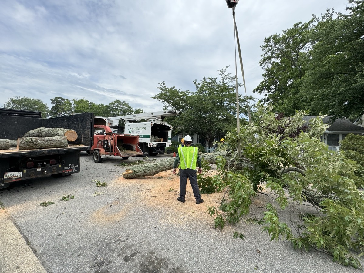 Tree removal crew with chipper truck on job site